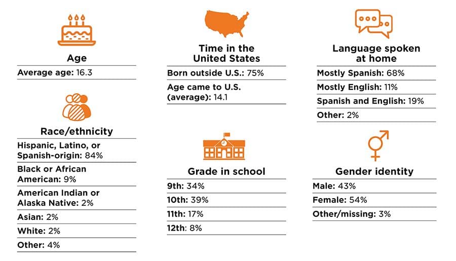Demographics and background of students participating in the evaluation
