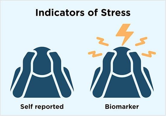 Figure 1. Biomarker tests of Black kinship caregivers may reveal higher levels of stress than self-reports